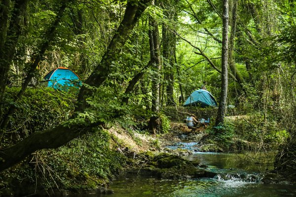 Quels sont les équipements indispensables pour un camping en région de forêt de feuillus?
