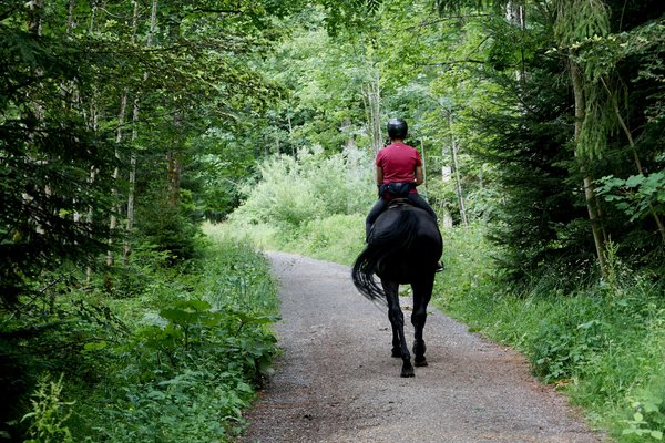 Peut-on trouver une maison de vacances en Espagne avec des cours de cuisine et des balades à cheval?